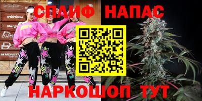 индика Ливны