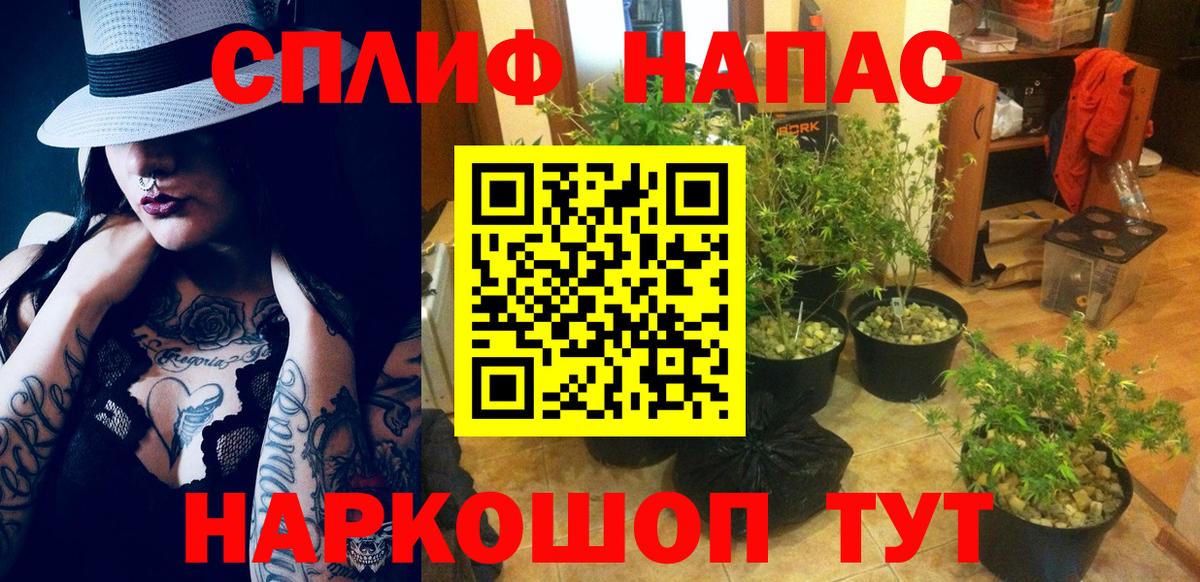 Керчь  Конопля OG Kush  Вход с VPN  МАРИХУАНА ГИДРОПОН 